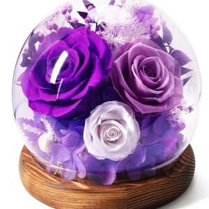 Forever Real Preserved Roses in Glass Dome Roses